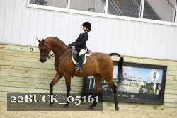 22BUCK_05161 proof