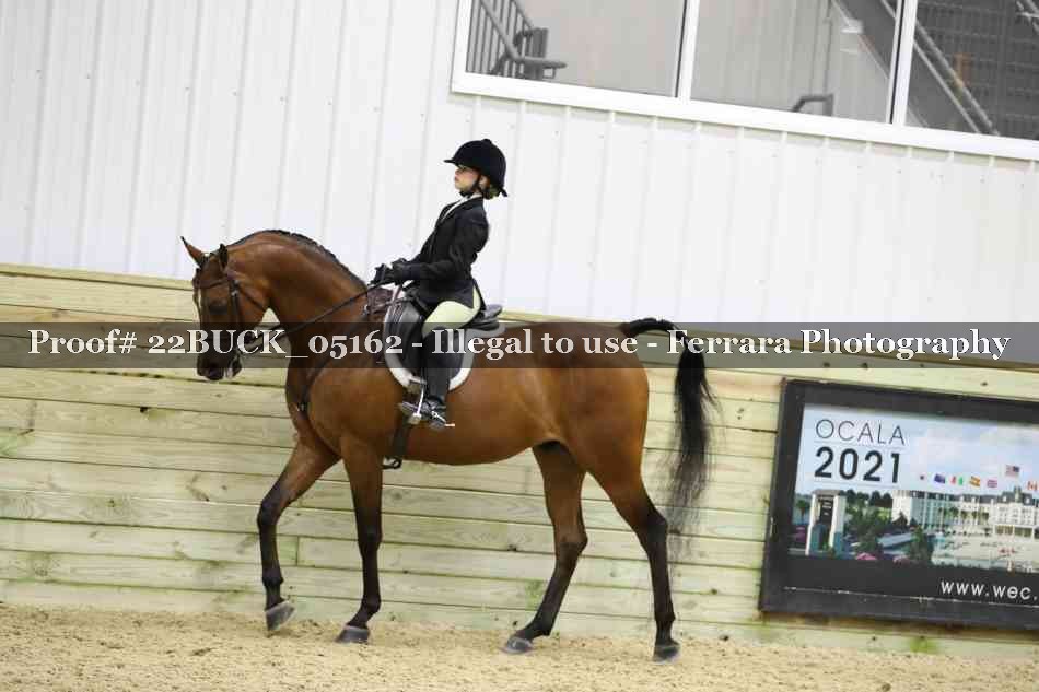 Proof 22BUCK_05162