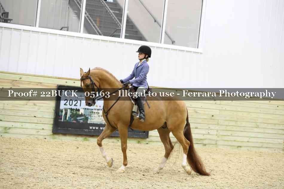 Proof 22BUCK_05163
