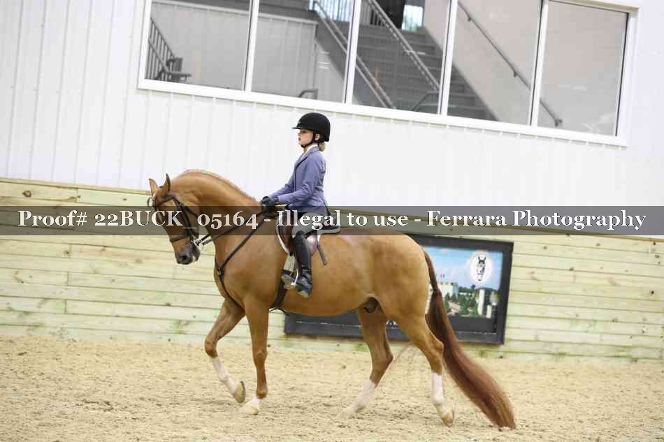 Proof 22BUCK_05164