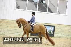 22BUCK_05164 proof