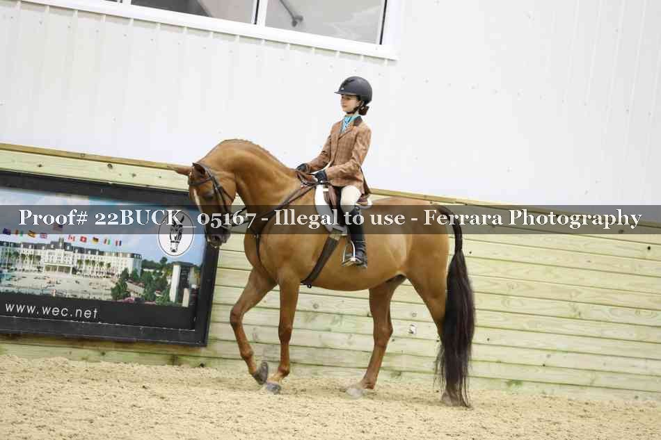 Proof 22BUCK_05167