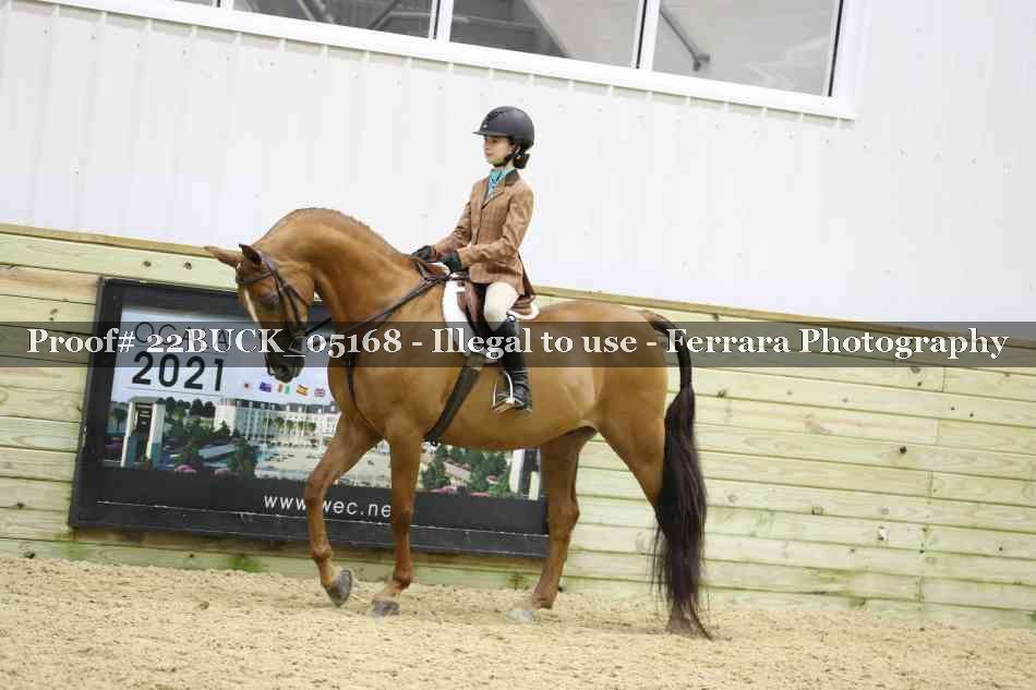 Proof 22BUCK_05168