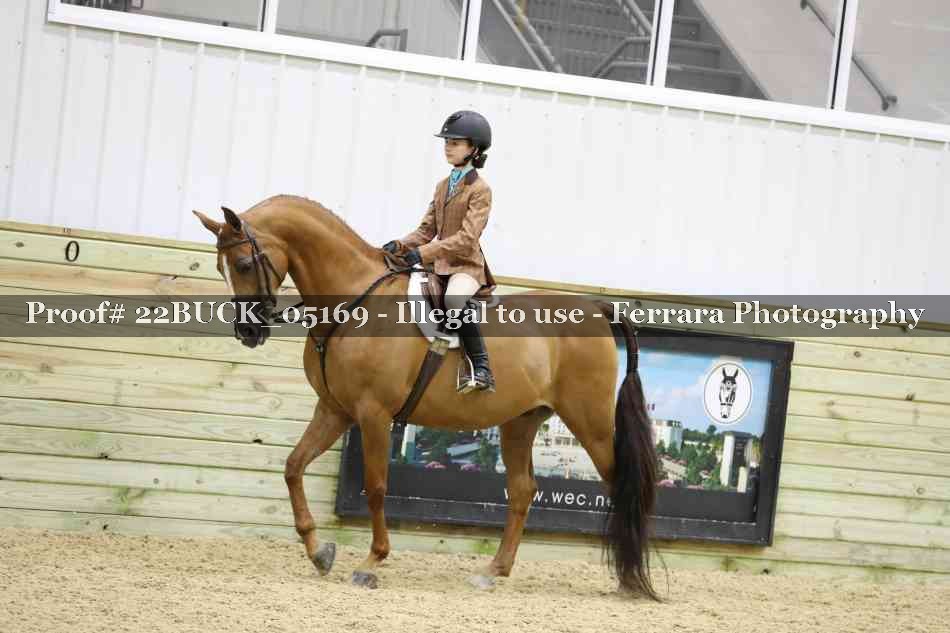 Proof 22BUCK_05169