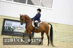 22BUCK_05170 proof