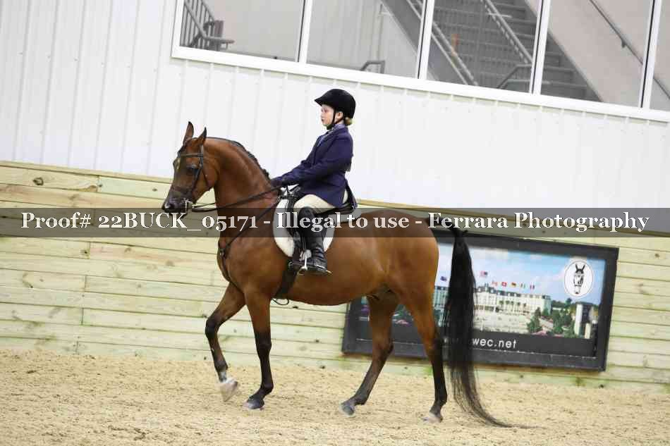 Proof 22BUCK_05171