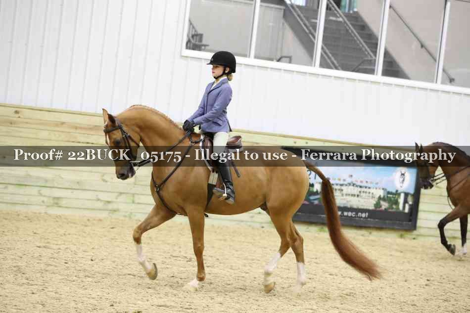 Proof 22BUCK_05175