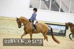 22BUCK_05175 proof