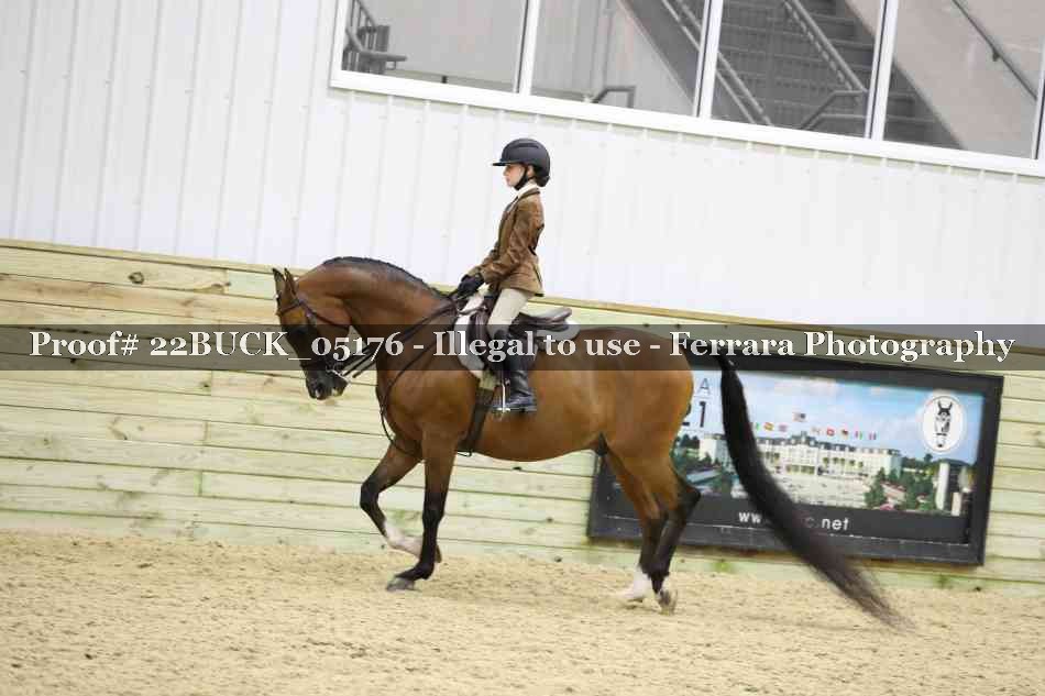 Proof 22BUCK_05176