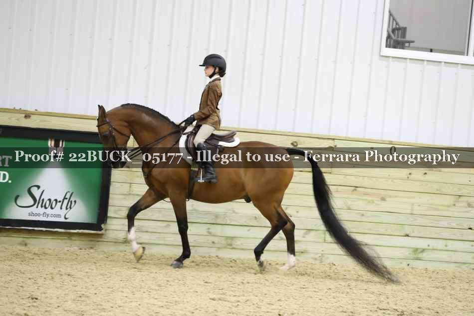 Proof 22BUCK_05177