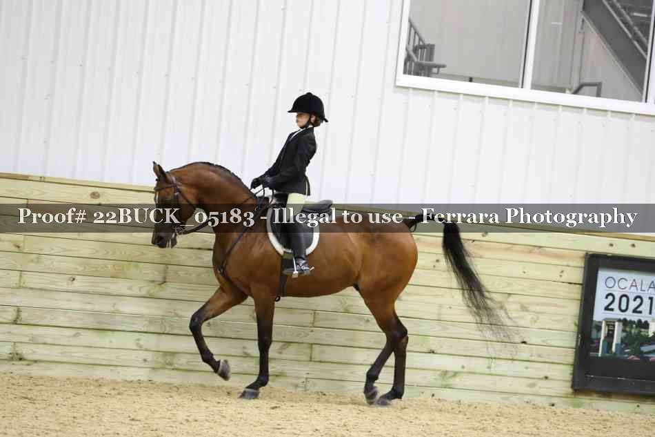 Proof 22BUCK_05183