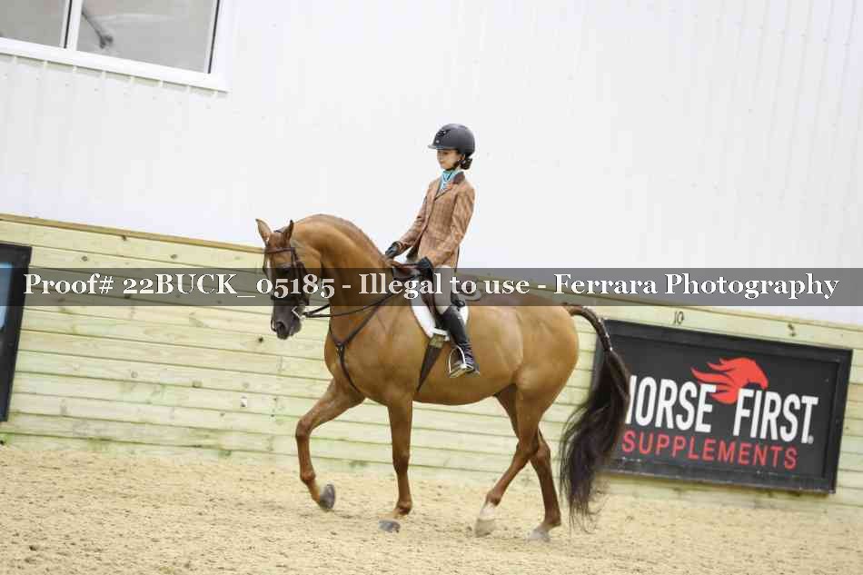 Proof 22BUCK_05185