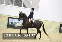 22BUCK_05187 proof