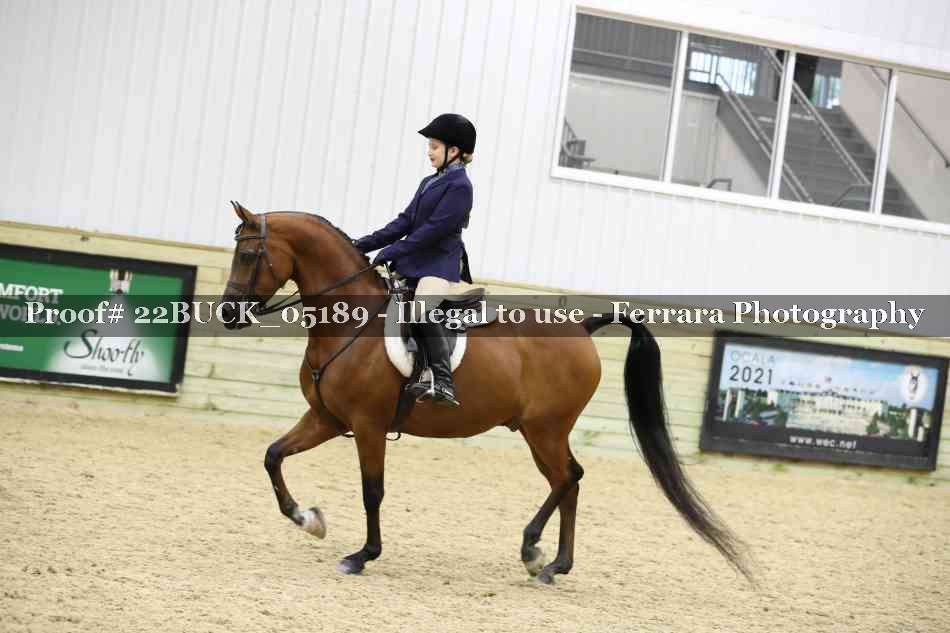 Proof 22BUCK_05189