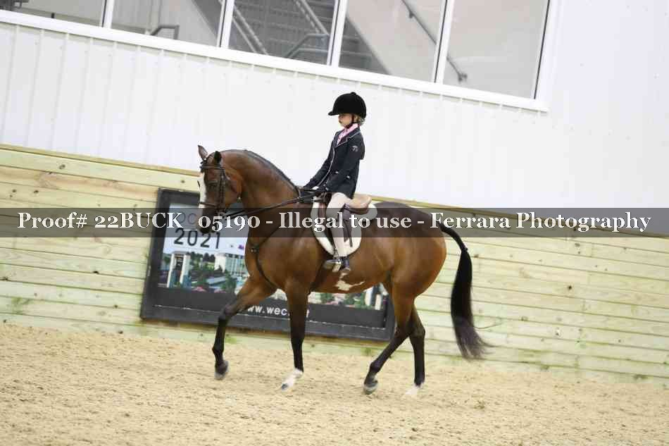 Proof 22BUCK_05190