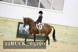 22BUCK_05190 proof