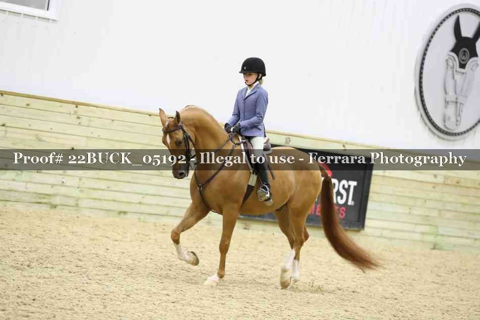 Proof 22BUCK_05192