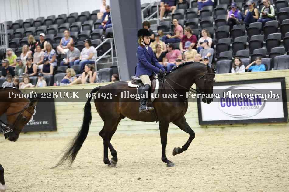 Proof 22BUCK_05193