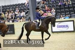 22BUCK_05193 proof