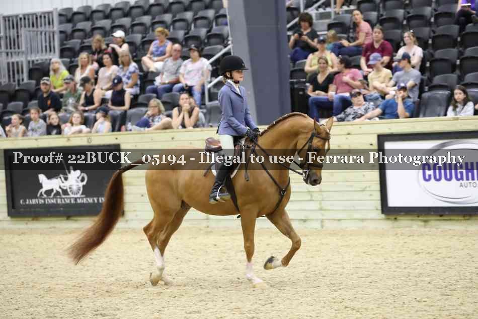 Proof 22BUCK_05194