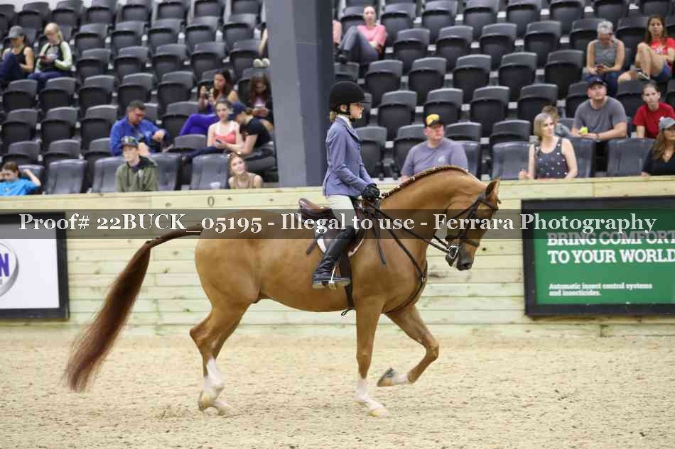 Proof 22BUCK_05195