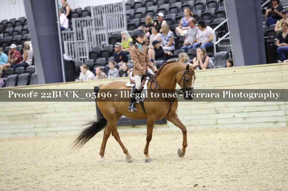 Proof 22BUCK_05196