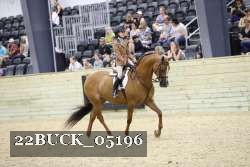 22BUCK_05196 proof
