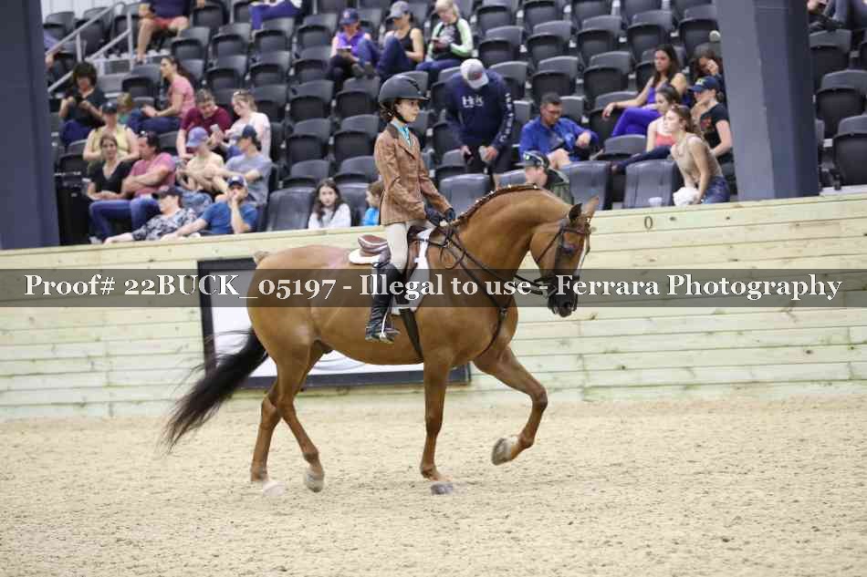 Proof 22BUCK_05197