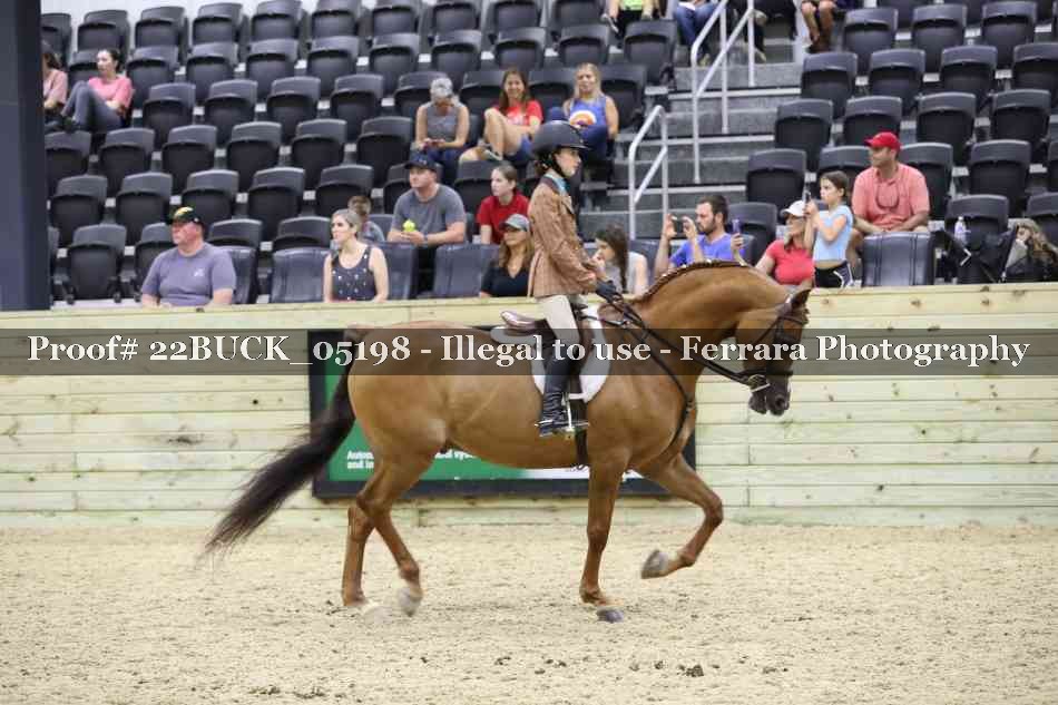 Proof 22BUCK_05198
