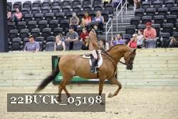 22BUCK_05198 proof