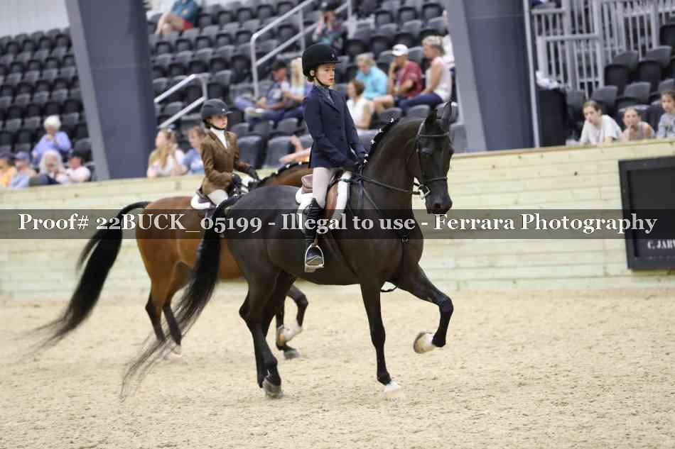 Proof 22BUCK_05199