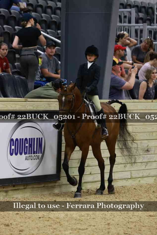 Proof 22BUCK_05201
