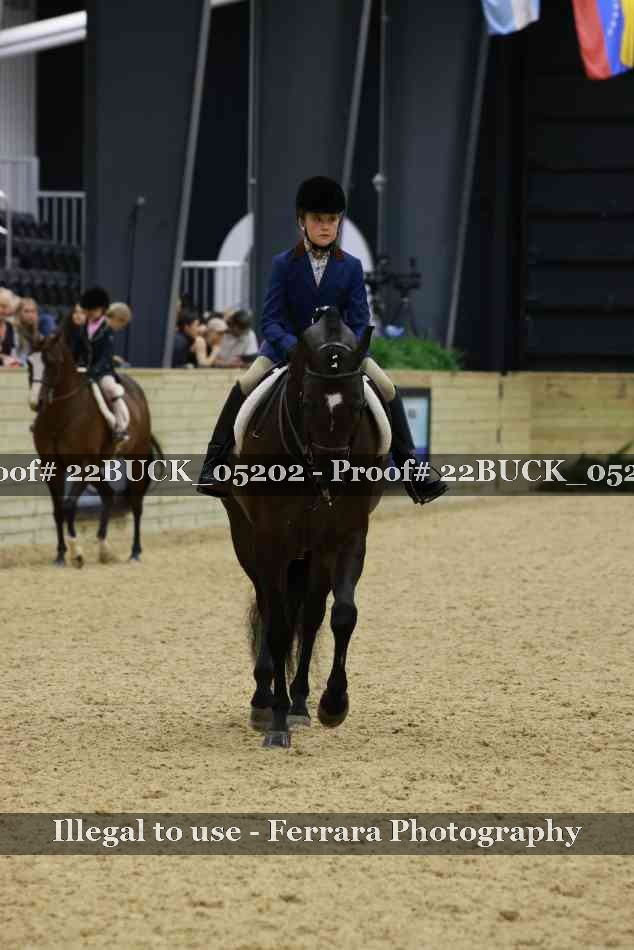Proof 22BUCK_05202