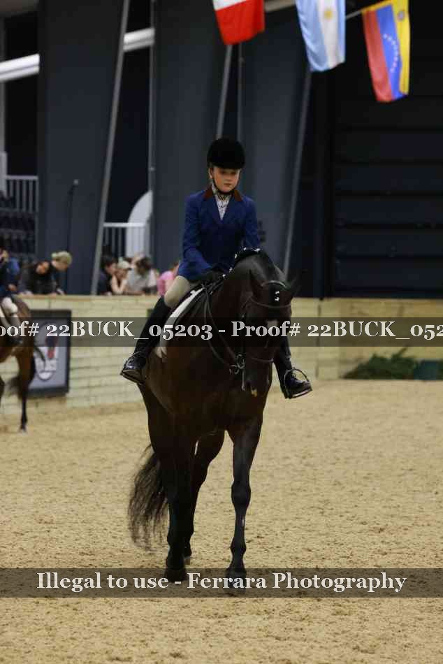 Proof 22BUCK_05203