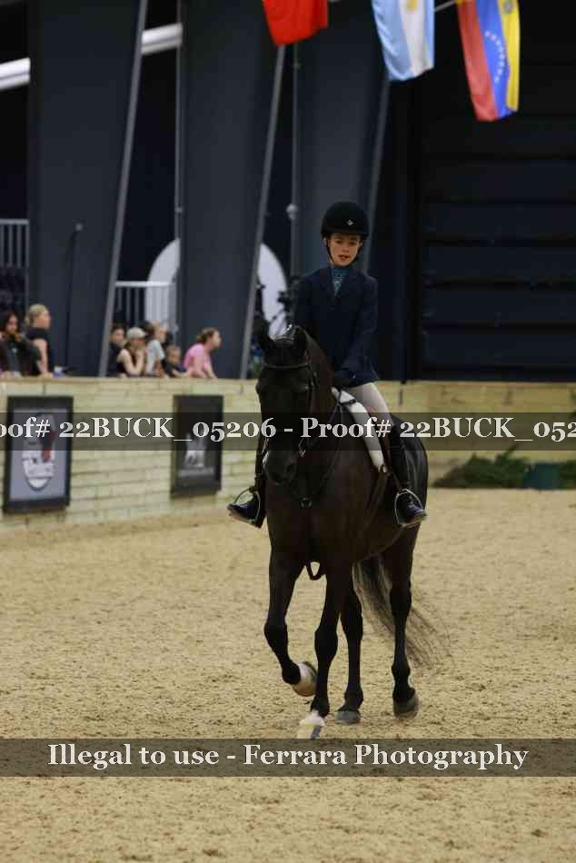 Proof 22BUCK_05206