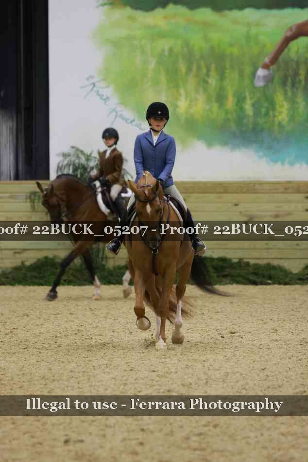 Proof 22BUCK_05207
