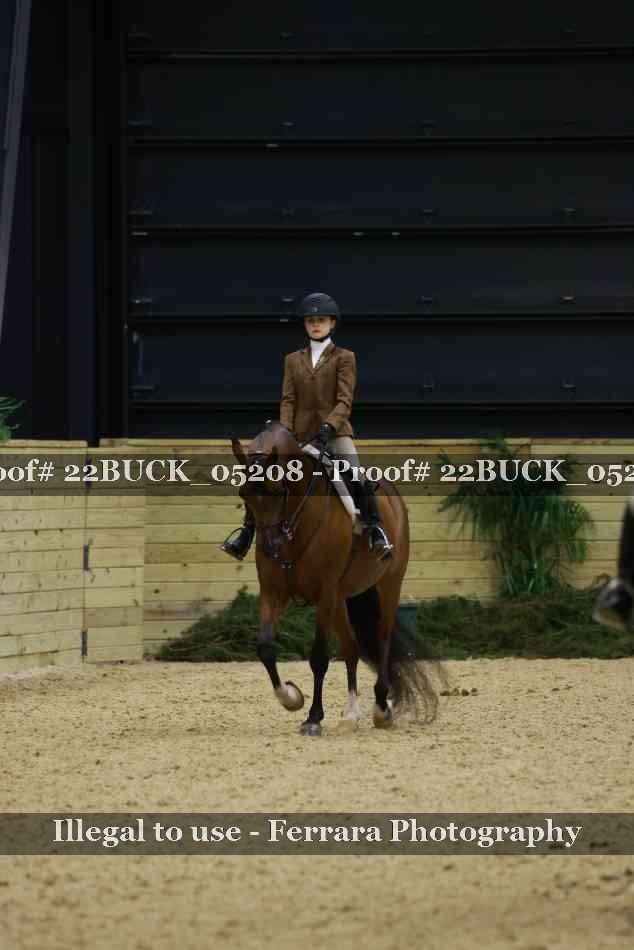 Proof 22BUCK_05208