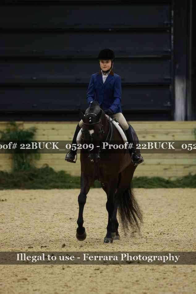 Proof 22BUCK_05209