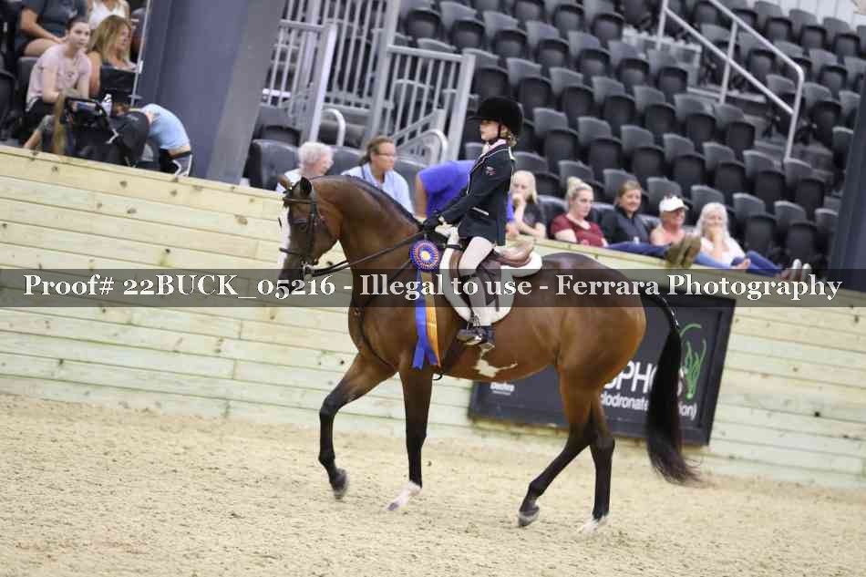 Proof 22BUCK_05216