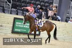 22BUCK_05217 proof