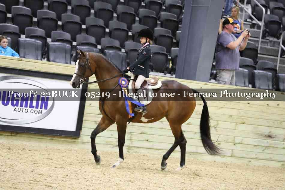 Proof 22BUCK_05219