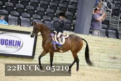 22BUCK_05219 proof