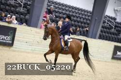 22BUCK_05220 proof