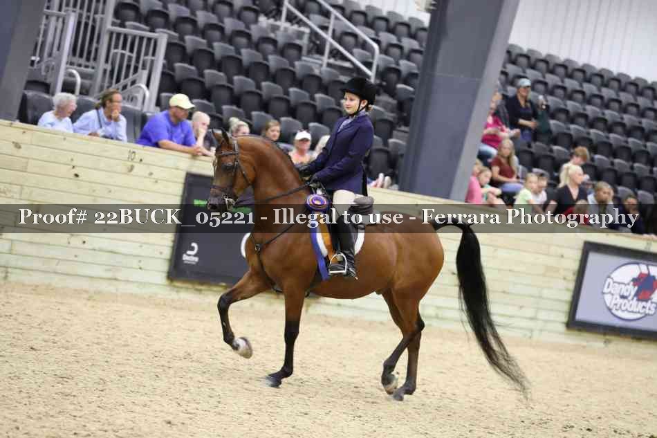 Proof 22BUCK_05221