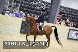 22BUCK_05221 proof
