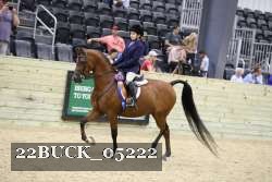 22BUCK_05222 proof