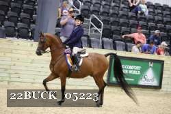 22BUCK_05223 proof