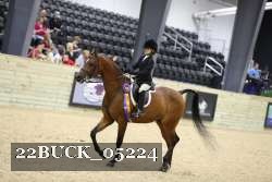22BUCK_05224 proof