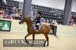 22BUCK_05226 proof