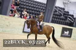22BUCK_05228 proof